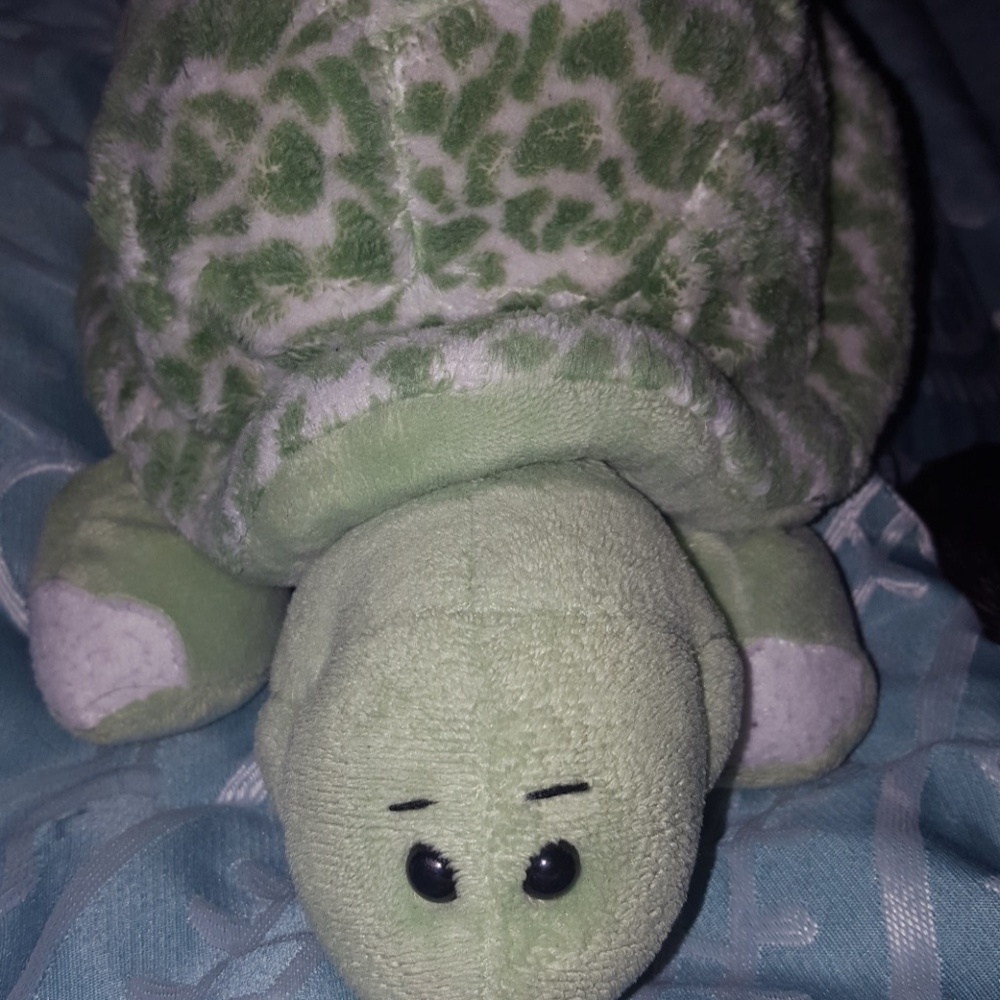 Turtle - Picture 2 of 2